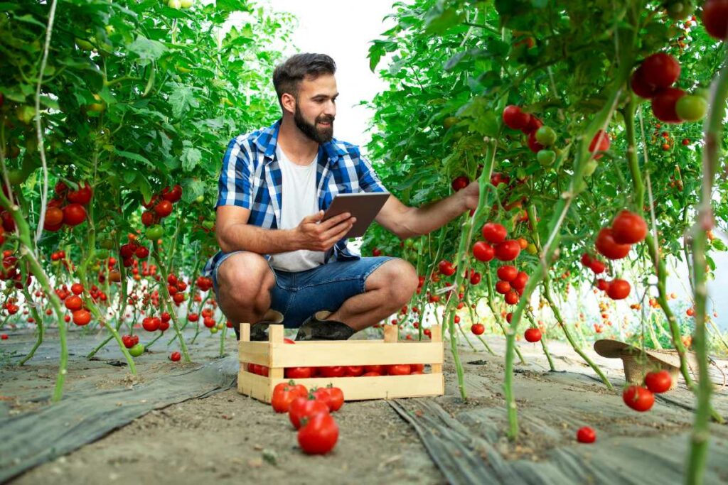 gaspillage alimentaire