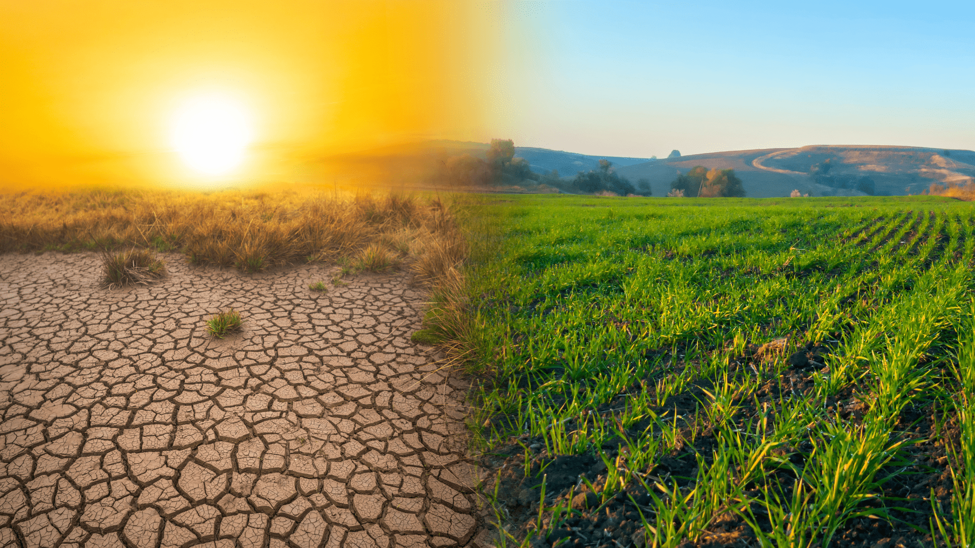 changement climatique