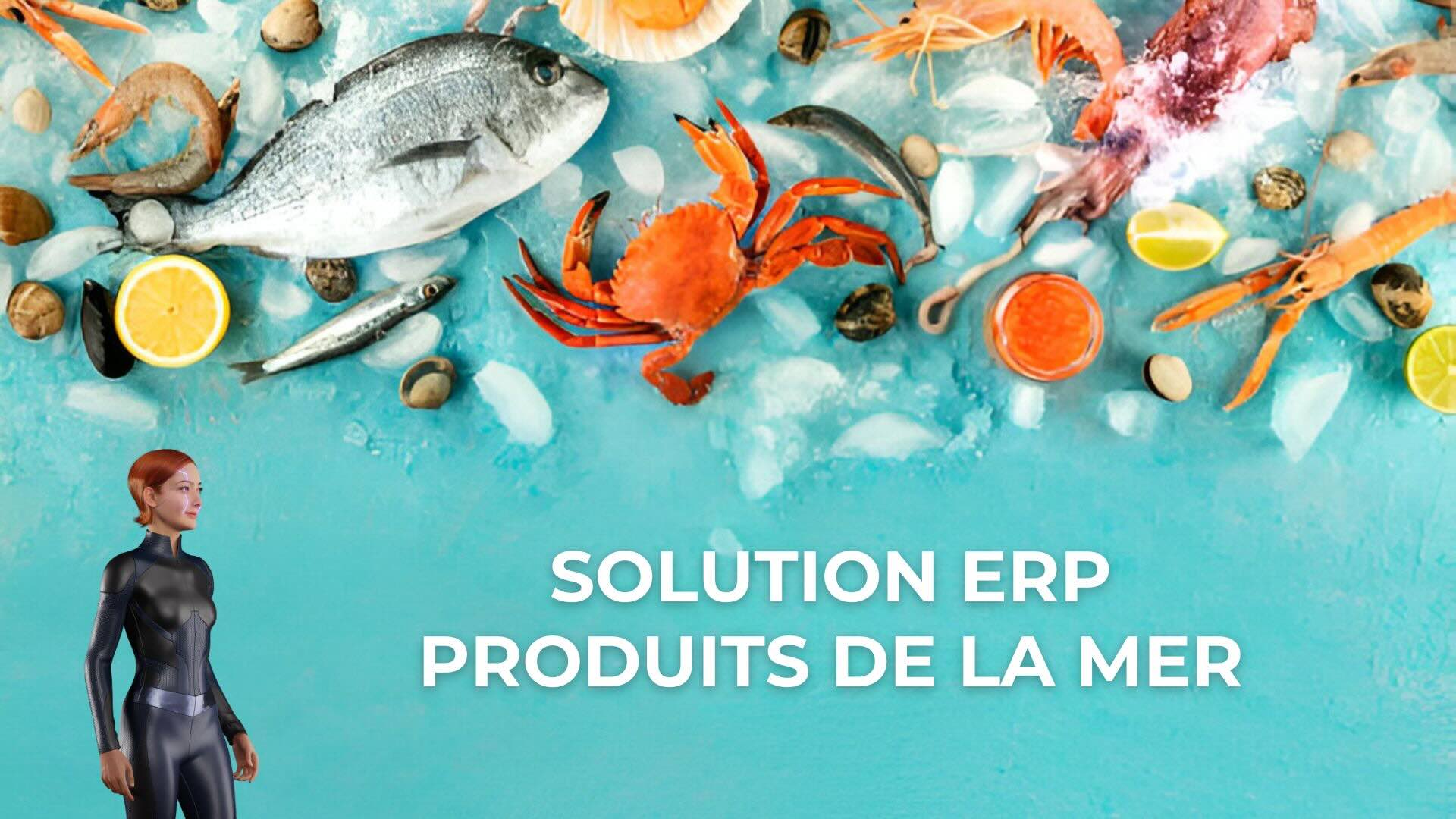 ERP MARÉE