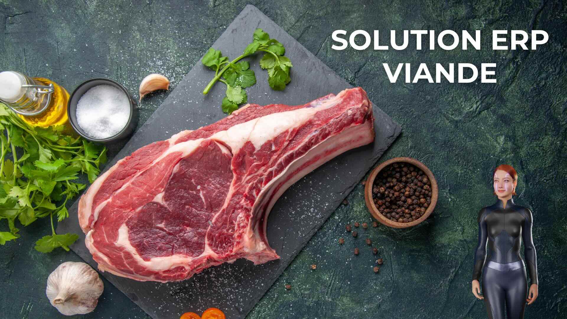 ERP VIANDE