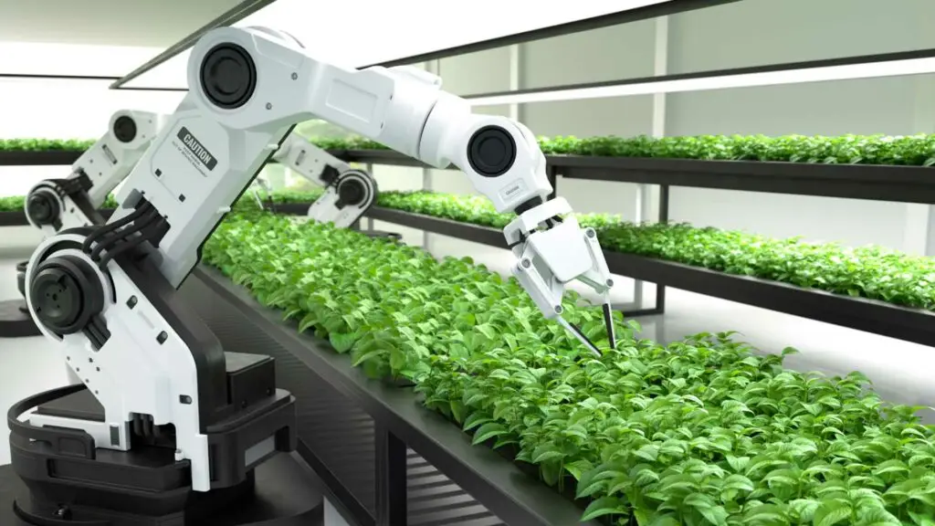 Robotisation Agroalimentaire